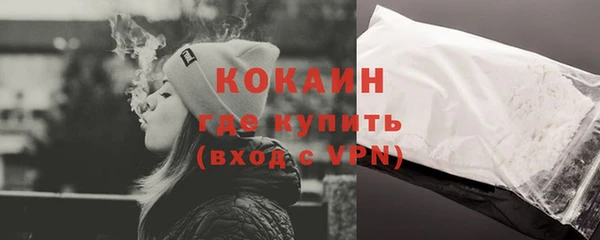 соль ск Алзамай