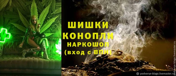 гидра Алексеевка