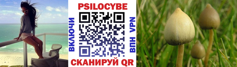 Псилоцибиновые грибы MAGIC MUSHROOMS  Игра 
